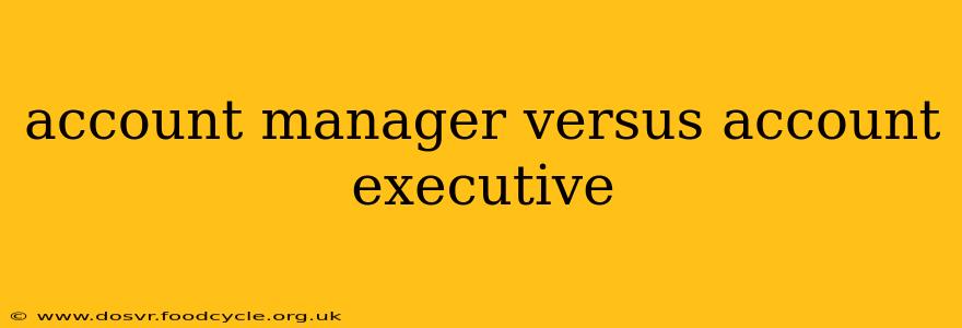 account manager versus account executive