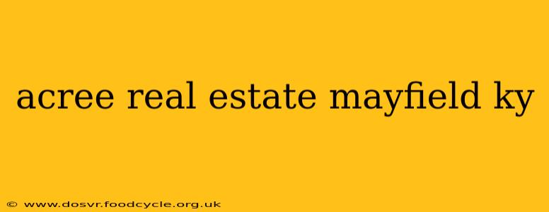 acree real estate mayfield ky