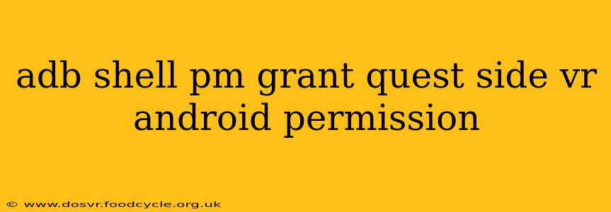 adb shell pm grant quest side vr android permission