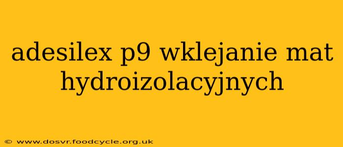 adesilex p9 wklejanie mat hydroizolacyjnych