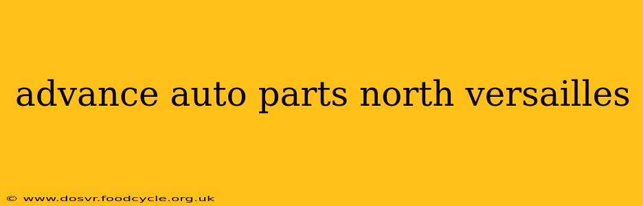 advance auto parts north versailles