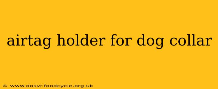 airtag holder for dog collar