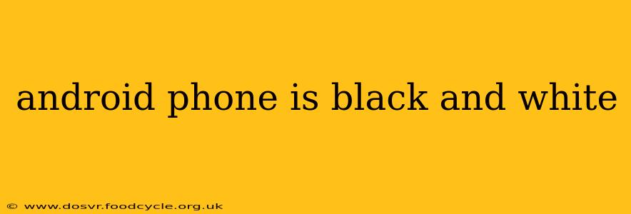 android phone is black and white
