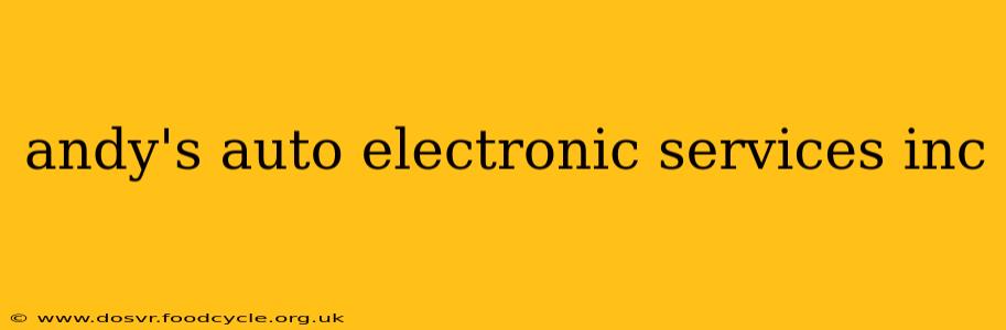 andy's auto electronic services inc