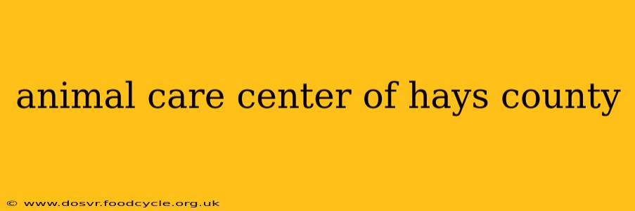 animal care center of hays county