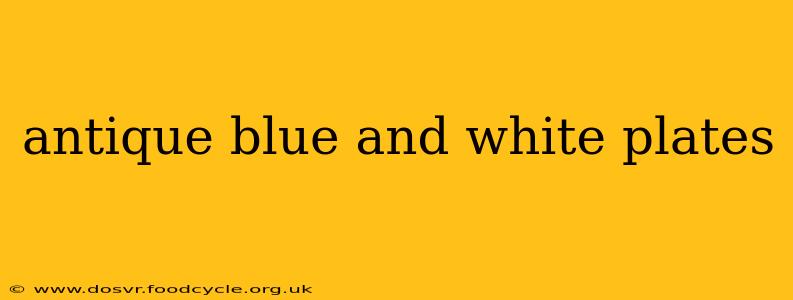 antique blue and white plates
