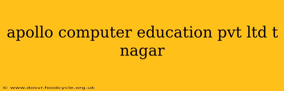 apollo computer education pvt ltd t nagar