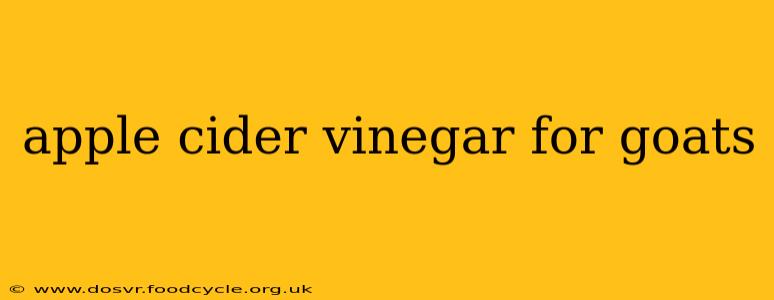 apple cider vinegar for goats