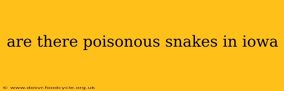 are there poisonous snakes in iowa