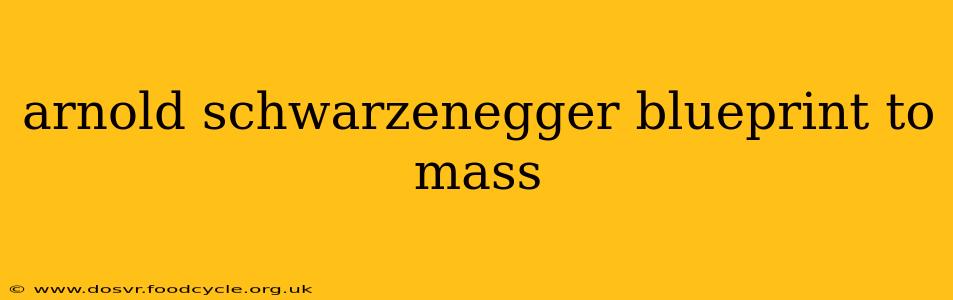 arnold schwarzenegger blueprint to mass