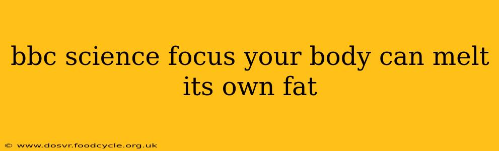 bbc science focus your body can melt its own fat