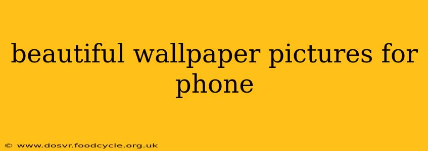 beautiful wallpaper pictures for phone
