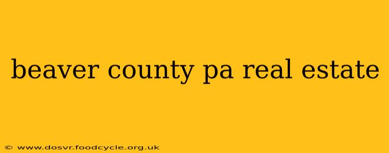beaver county pa real estate