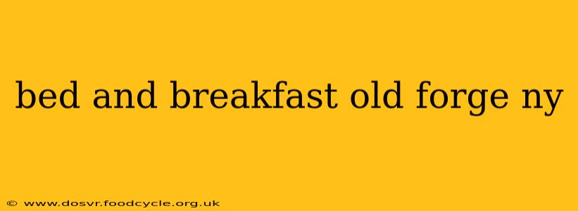 bed and breakfast old forge ny