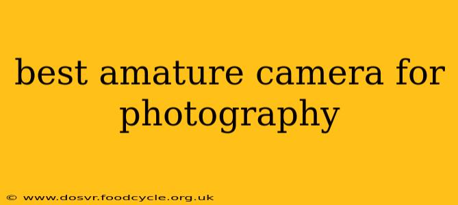 best amature camera for photography