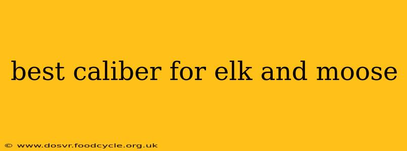 best caliber for elk and moose