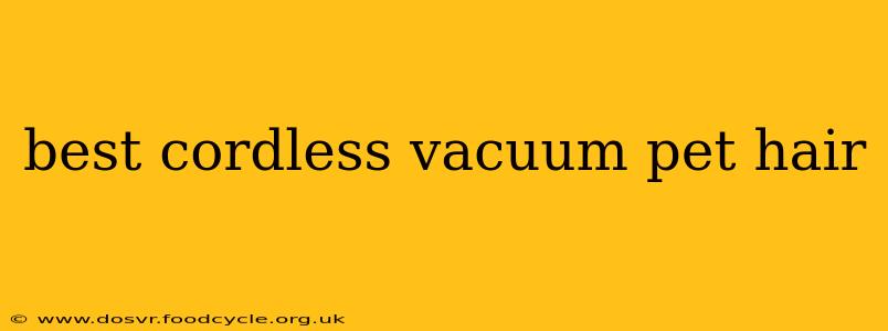 best cordless vacuum pet hair