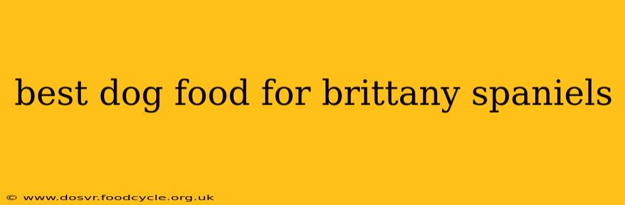 best dog food for brittany spaniels