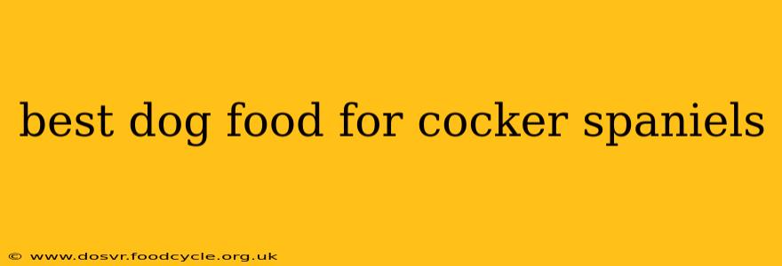 best dog food for cocker spaniels