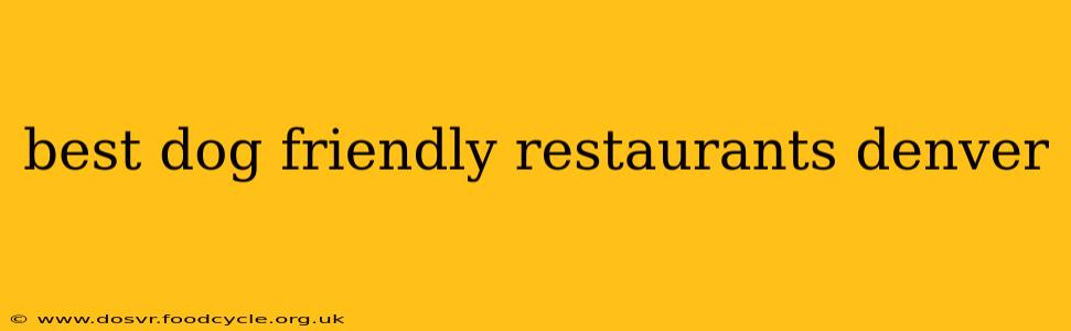 best dog friendly restaurants denver