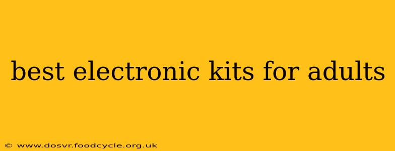 best electronic kits for adults