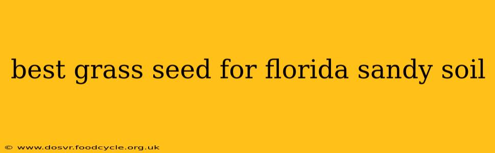 best grass seed for florida sandy soil