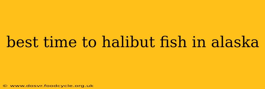 best time to halibut fish in alaska