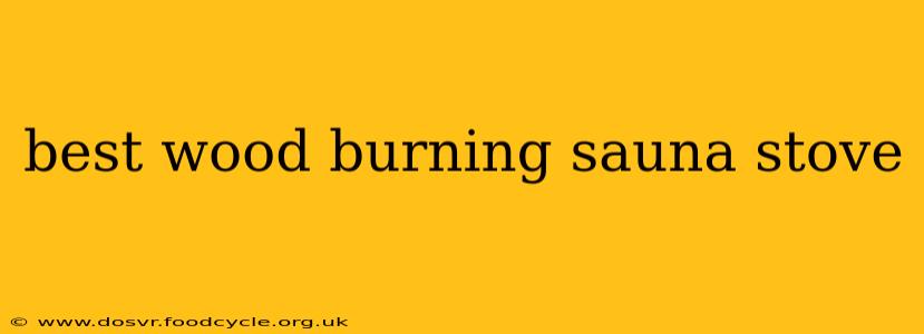 best wood burning sauna stove