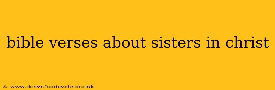 bible verses about sisters in christ
