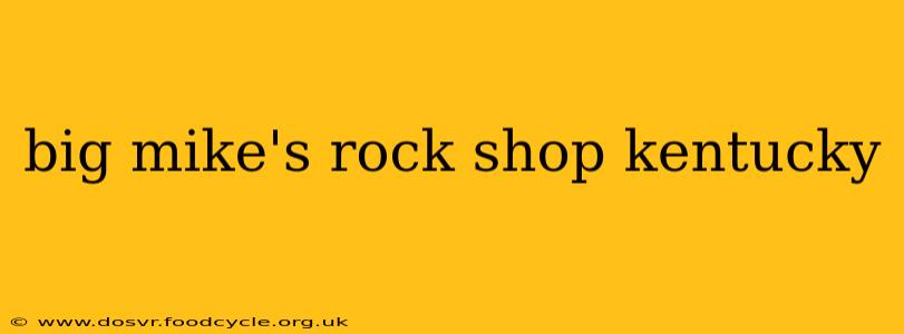 big mike's rock shop kentucky