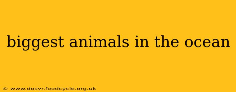 biggest animals in the ocean
