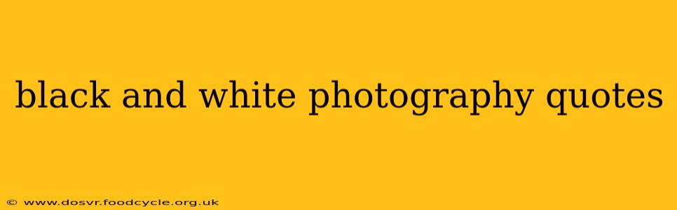 black and white photography quotes