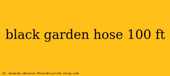 black garden hose 100 ft