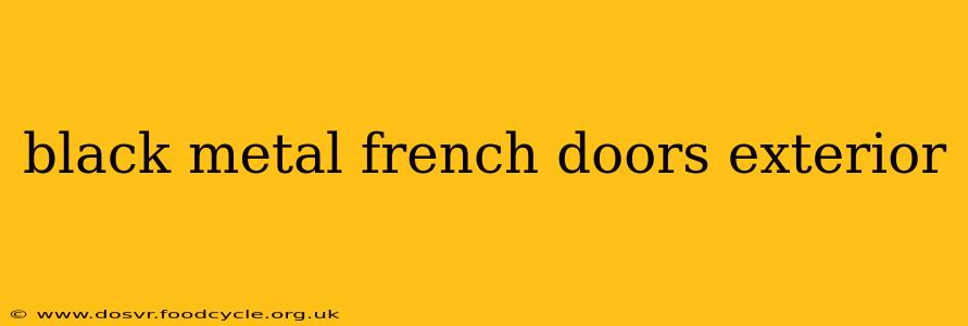 black metal french doors exterior