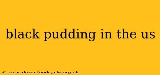 black pudding in the us