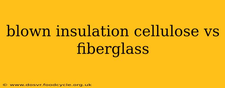 blown insulation cellulose vs fiberglass