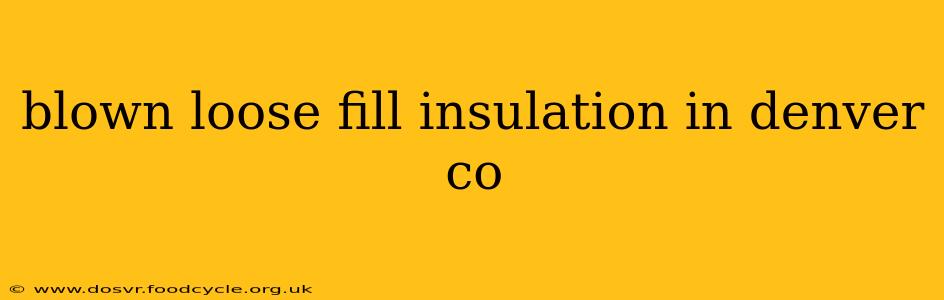 blown loose fill insulation in denver co