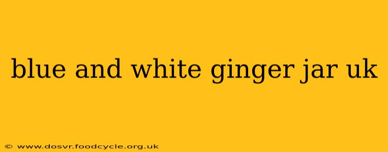 blue and white ginger jar uk