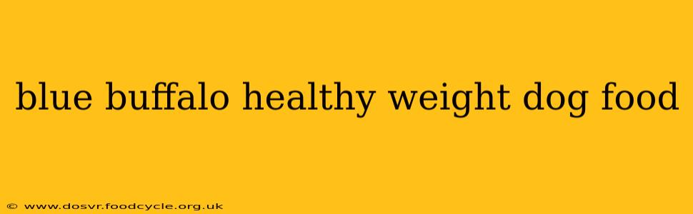 blue buffalo healthy weight dog food