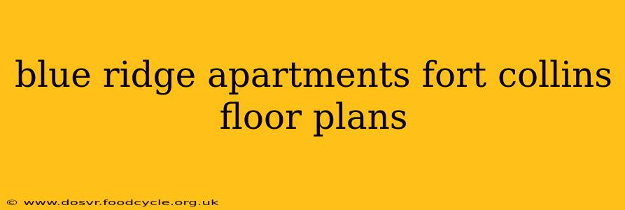 blue ridge apartments fort collins floor plans