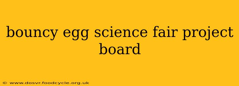 bouncy egg science fair project board