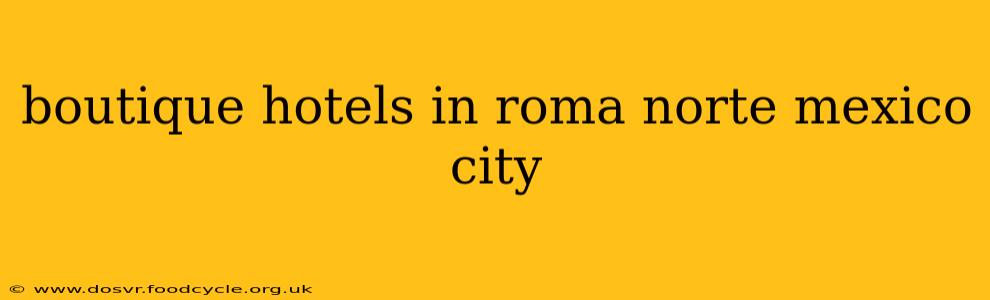 boutique hotels in roma norte mexico city