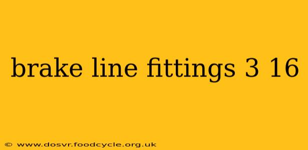 brake line fittings 3 16