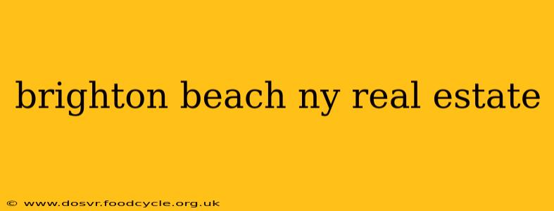 brighton beach ny real estate