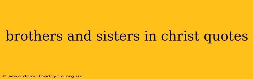 brothers and sisters in christ quotes