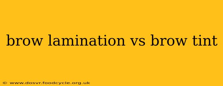 brow lamination vs brow tint