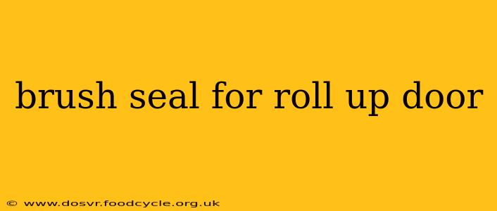 brush seal for roll up door