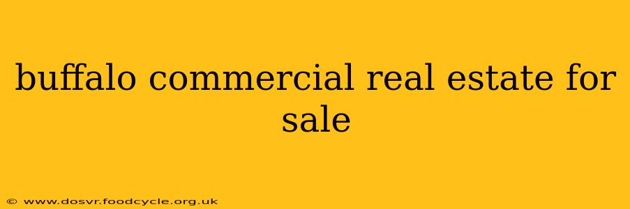 buffalo commercial real estate for sale