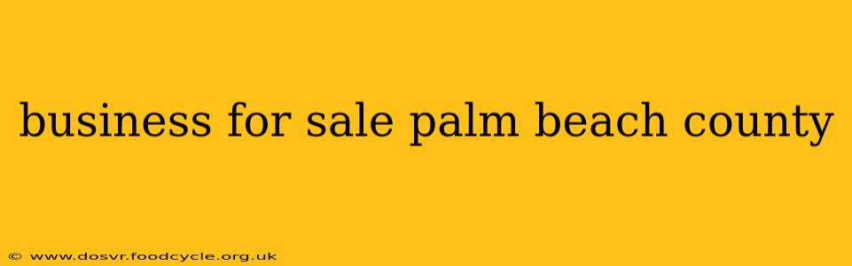 business for sale palm beach county
