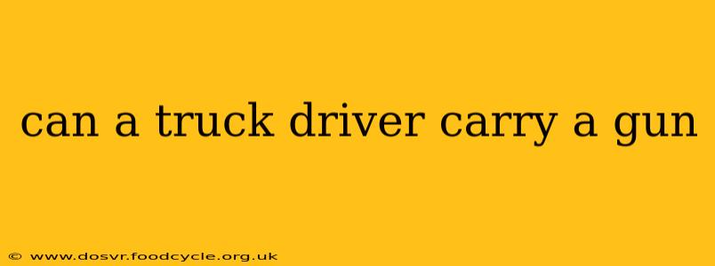 can a truck driver carry a gun